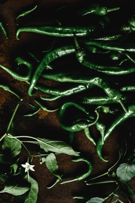 Green chili peppers laid out on a rustic surface with accompanying leaves and blossoms.